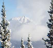 Snow Shoe Packages